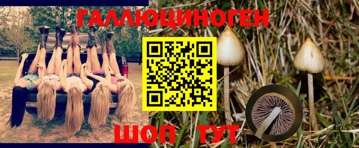 Псилоцибиновые грибы Psilocybine cubensis Кушва